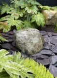 Glacial Boulder Water Feature SB194 | Welsh Slate Water Features 05