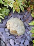 Glacial Boulder Water Feature SB195 | Welsh Slate Water Features 02