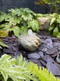 Glacial Boulder Water Feature SB195 | Welsh Slate Water Features 04