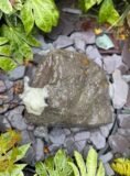 Glacial Boulder Water Feature SB196 | Welsh Slate Water Features 01