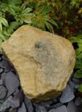 Purbeck Stone Water Feature SB189 | Welsh Slate Water Features 04
