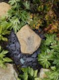 Purbeck Stone Water Feature SB189 | Welsh Slate Water Features 06