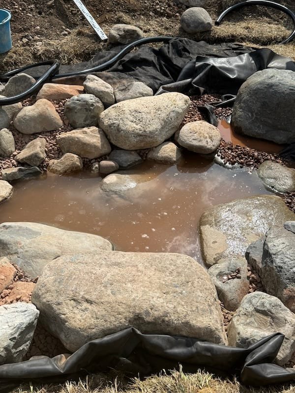 How To Build an Ecosystem Pond