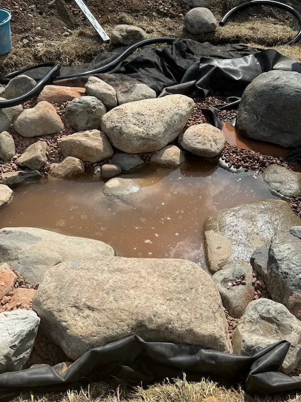 How To Build an Ecosystem Pond