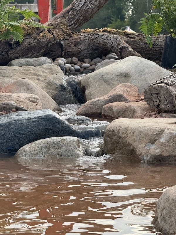 How To Build an Ecosystem Pond