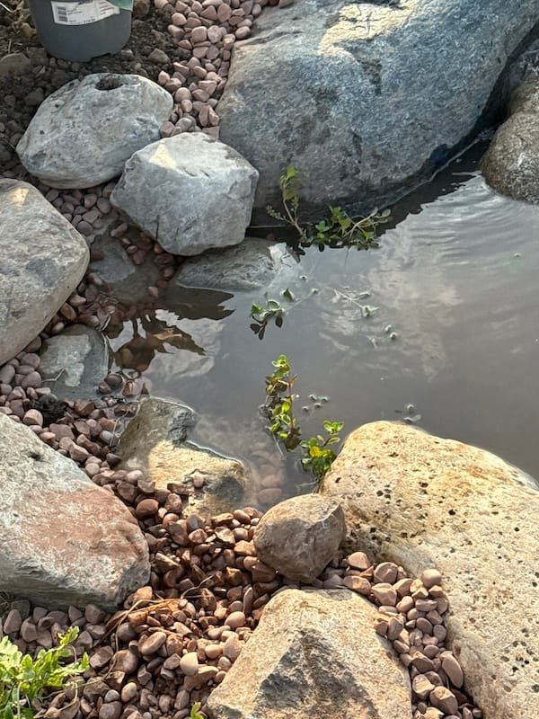 How To Build an Ecosystem Pond | Welsh Slate Water Features 20