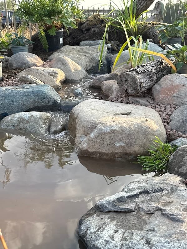 How to build an Ecosystem Pond
