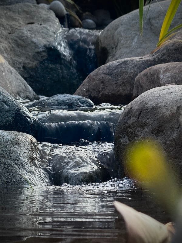 How to build an Ecosystem Pond | Welsh Slate Water Features