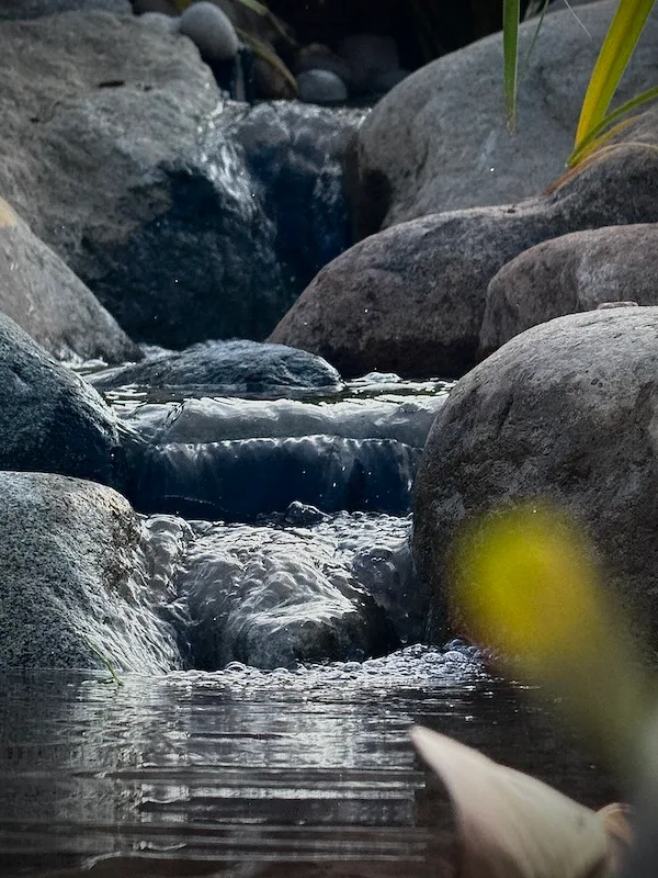 How to build an Ecosystem Pond | Welsh Slate Water Features