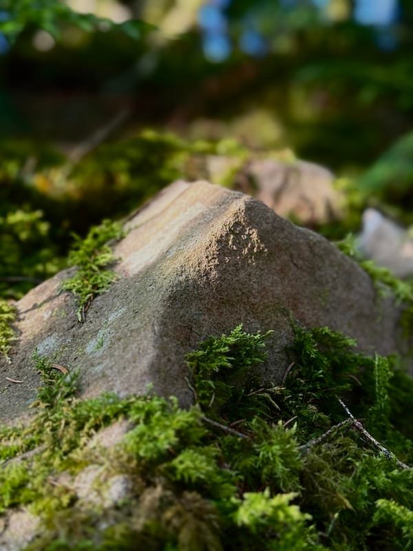 Mossy Stone Boulders