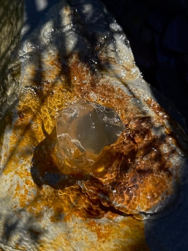 Slate Boulder SB203 Water Feature | Welsh Slate Water Features 09 Slate Boulder SB203 Water Feature | Welsh Slate Water Features 09