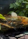Slate Boulder SB204 Water Feature | Welsh Slate Water Features 10