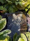 Slate Boulder SB206 Water Feature | Welsh Slate Water Features 08