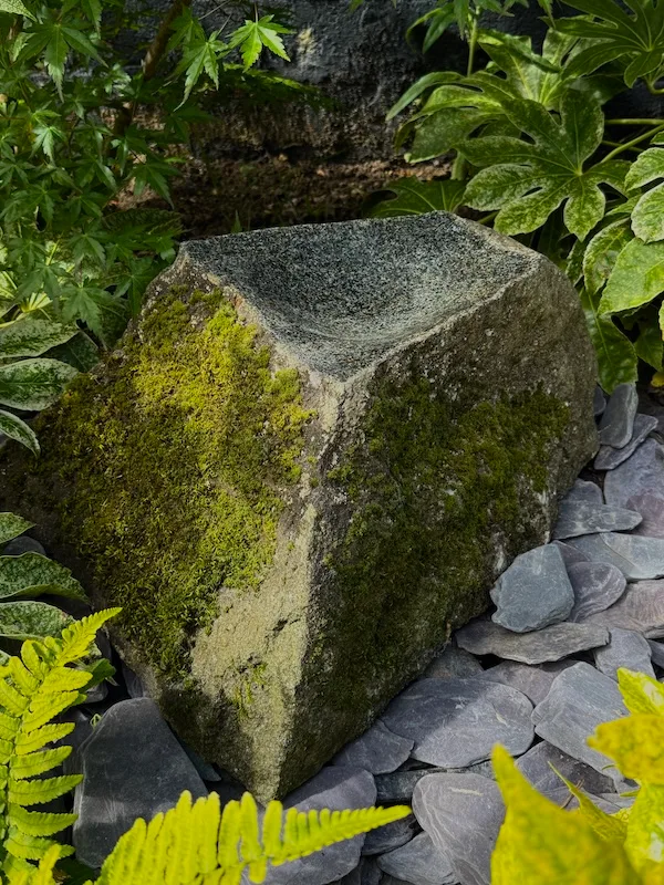 Mossy Stone Bird Bath SBB31 | Welsh Slate Water Features 01 Mossy Stone Bird Bath SBB31 | Welsh Slate Water Features 01