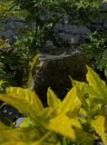 Mossy Stone Bird Bath SBB31 | Welsh Slate Water Features 06