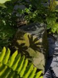 Mossy Stone Bird Bath SBB31 | Welsh Slate Water Features 08