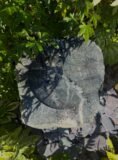 Quartz Stone Bird Bath SBB32 | Welsh Slate Water Features 05