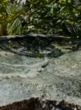 Quartz Stone Bird Bath SBB32 | Welsh Slate Water Features 08
