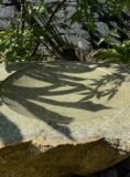 Stone Bird Bath SBB34 | Welsh Slate Water Features 09