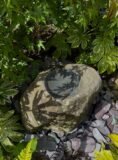 Stone Bird Bath SBB35 | Welsh Slate Water Features 10