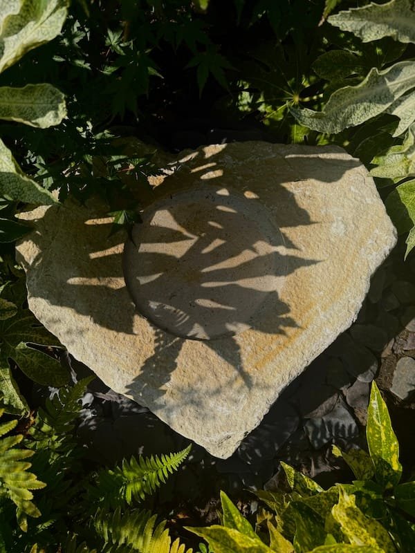 Purbeck Stone Boulder in Planting