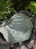 Stone Boulder SB215 | Welsh Slate Water Features 05