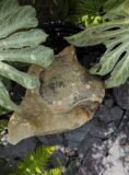 Water Worn Stone Boulder SB220 | Welsh Slate Water Features 08