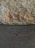 Purbeck Stone Water Feature SB258 | Welsh Slate Water Features 06